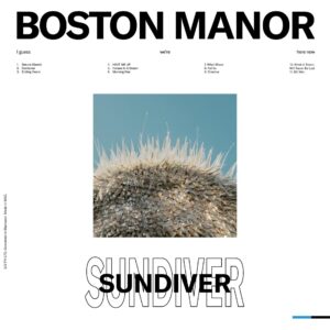 Leia mais sobre o artigo Do entardecer ao amanhecer: um novo dia nasce com Sundiver